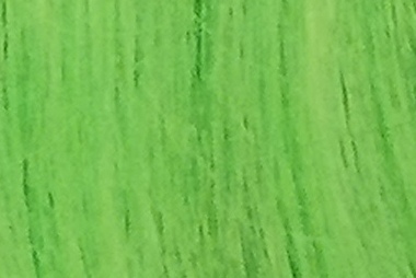 Angelica verde 