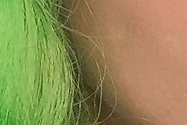 Angelica verde 