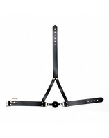 / Gag with silicon ball and headstrap