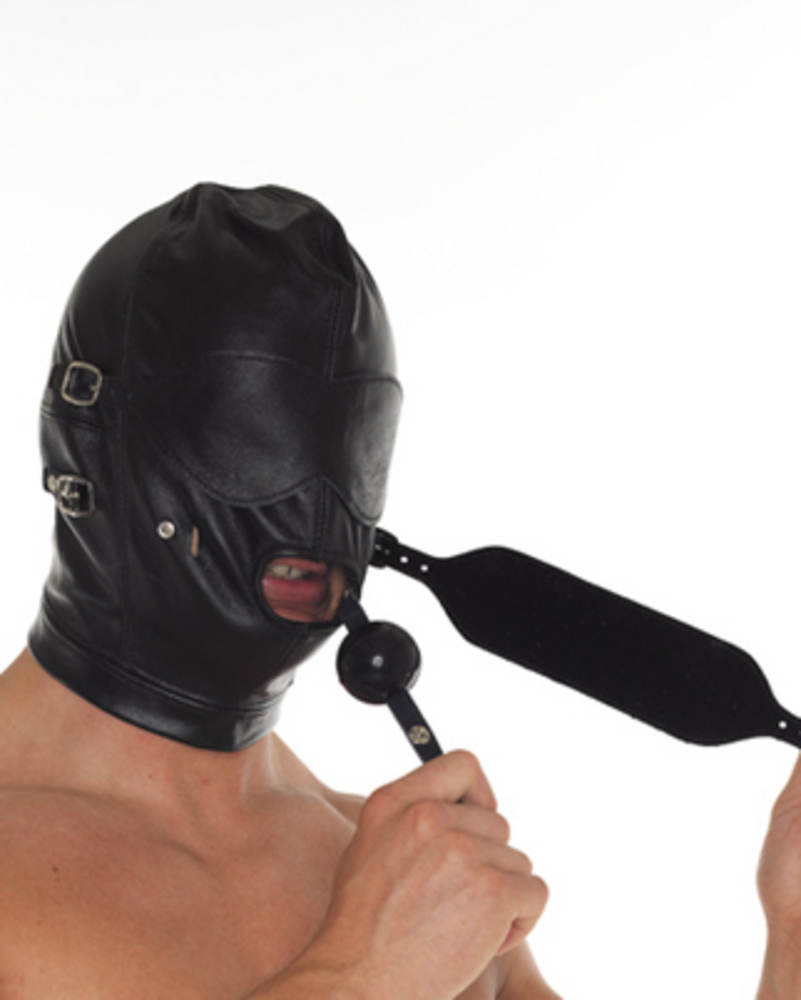 Mask with detachable gag, blinkers and mouth piece  