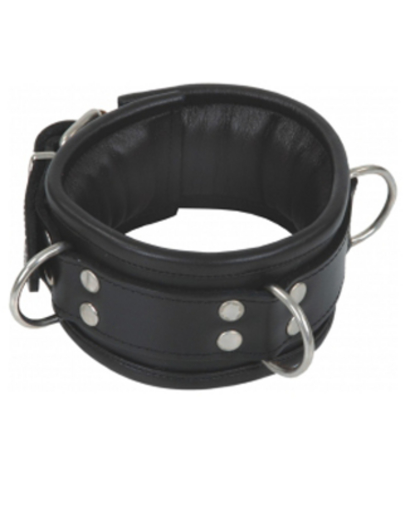 Padded collar with 3-D Rings  