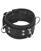 Padded collar with 3-D Rings