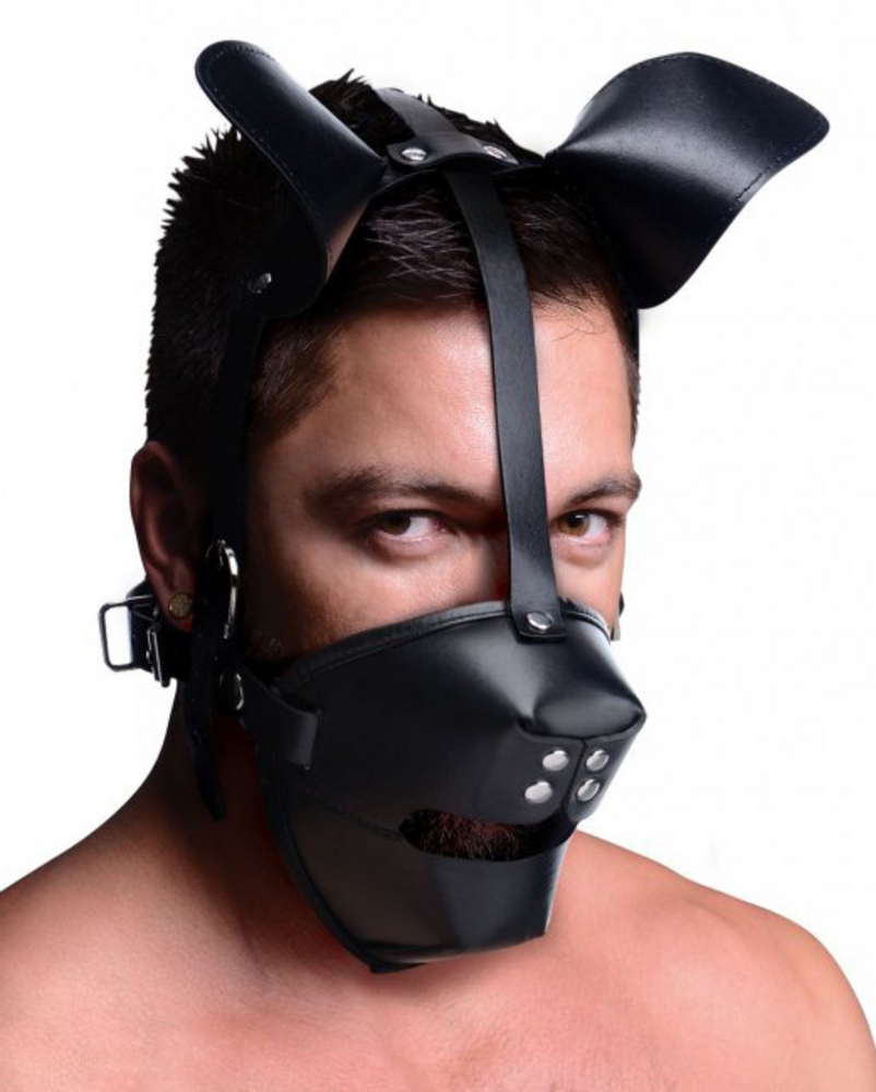 Pup Puppy Play Hood and Breathable Ball Gag  