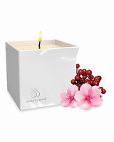 / Afterglow Massage Oil Candle Berry Blossom