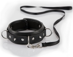 Collar with leash