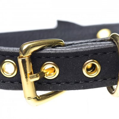/ Golden Kitty Cat Bell Collar - Black/Gold