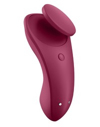 Sexy secret panty vibrator 