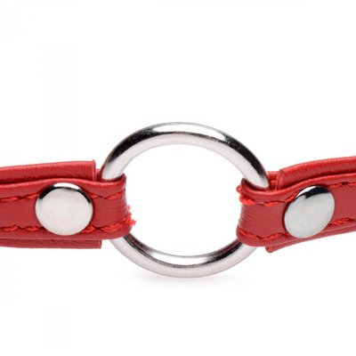 / Fiery Pet Leather Choker with Silver Ring -  red
