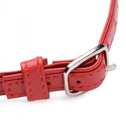 Fiery Pet Leather Choker with Silver Ring -  red 