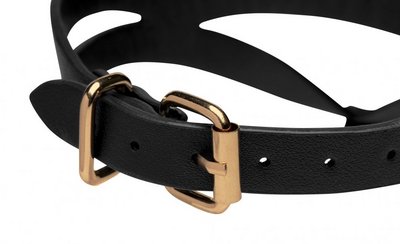 / Black and Gold Collar with Leash Kit