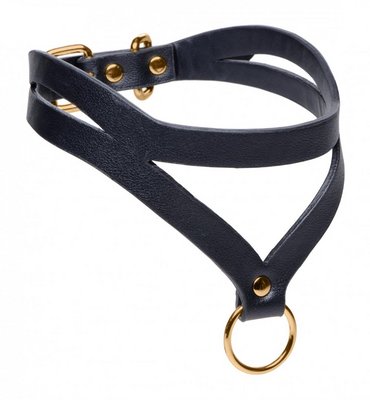 Black and Gold Collar with Leash Kit