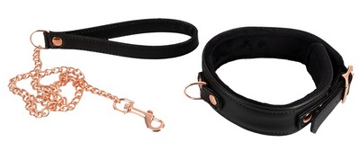 / Black and gold collar with Leash