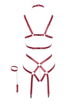 / Burgundy harness