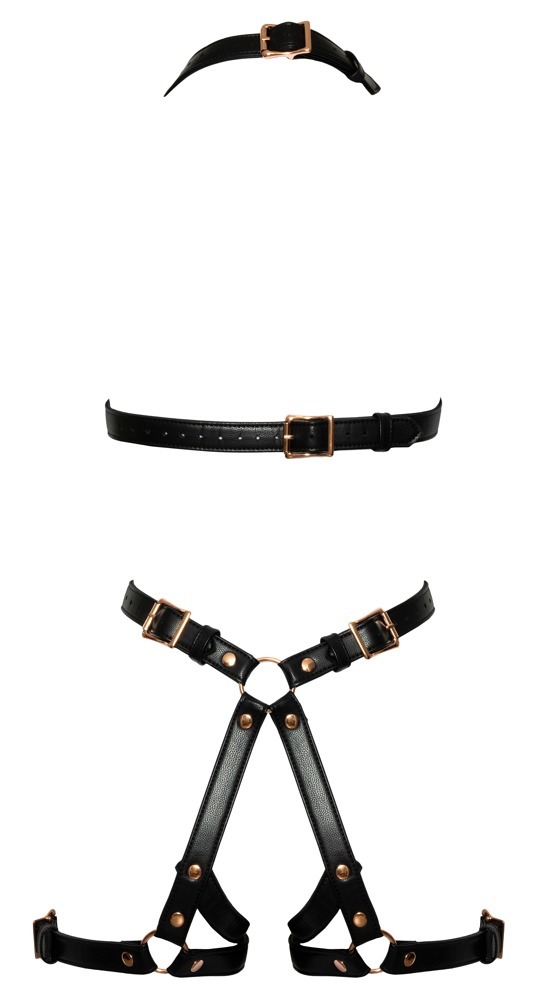 Leather harness  