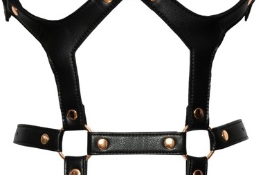 Leather harness 
