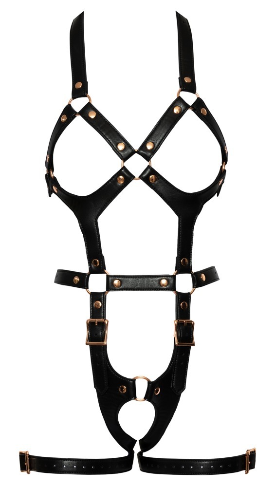 Leather harness  