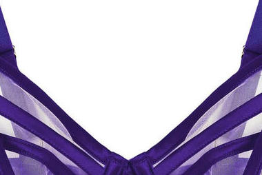 Ramona purple Strap Detail Illusion Mesh Bra 