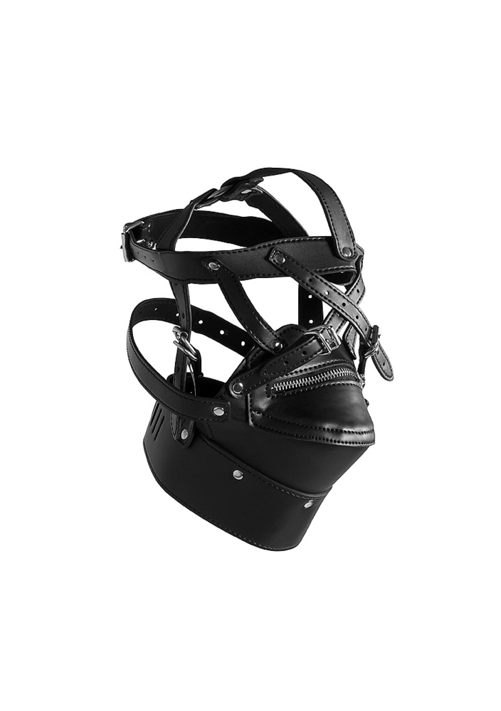 Head Harness with Zip-up Mouth and Lock   
