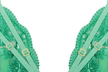 Sarina' Green Embroidery Strap Plunge Bra 