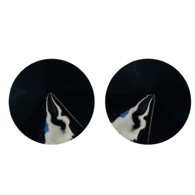/  High Gloss Pasties Black