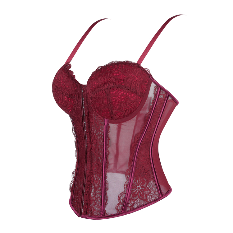 Burgundy Adjustable Bustier with Sheer Mesh  