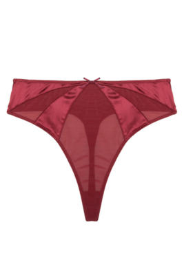 / Etta Red Mesh And Satin High Waist Thong