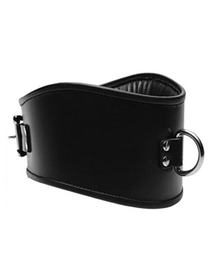   Padded Leather Locking Posture Collar