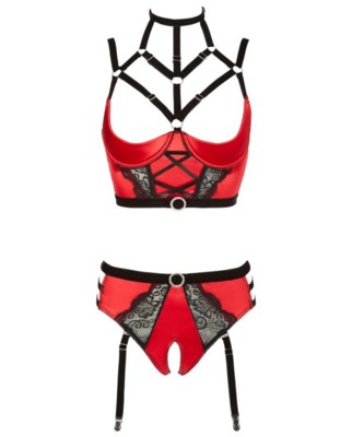 / Shelf Bra and Briefs