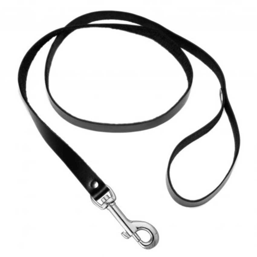 Strict Leather 4 Foot Leash 
